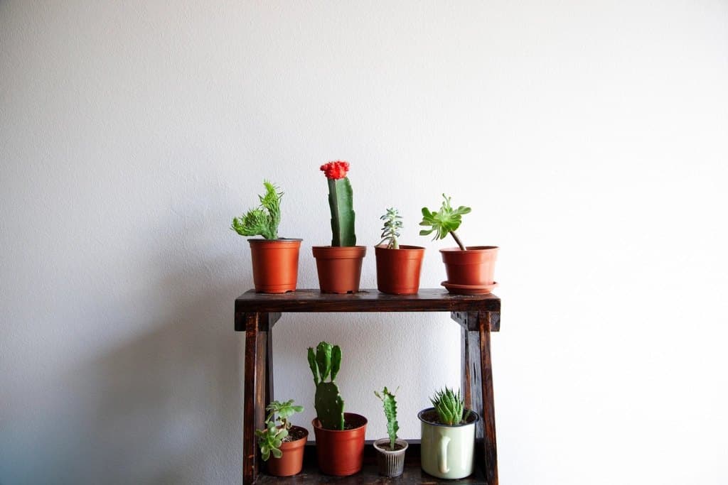 Floating Oak Shelf