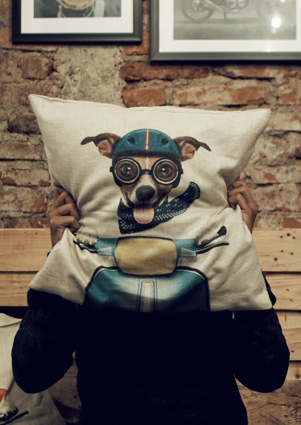 Illustrated Dog Cushion